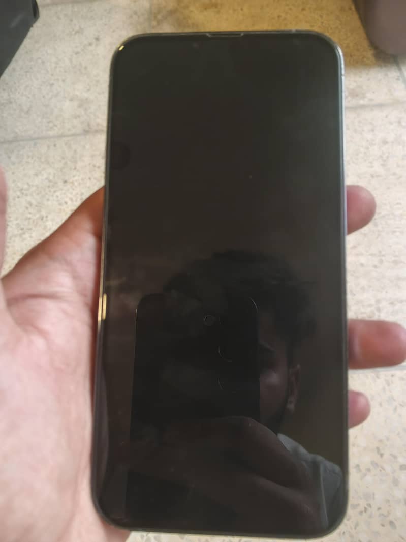 Apple iPhone 13 Pro Max 12