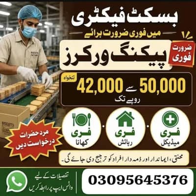 need urgent staff biscuits packing factory jobs available male and fe