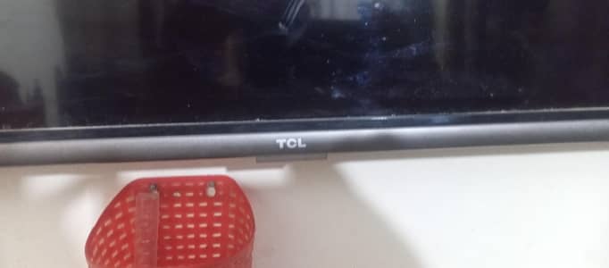 TCL 55" LED