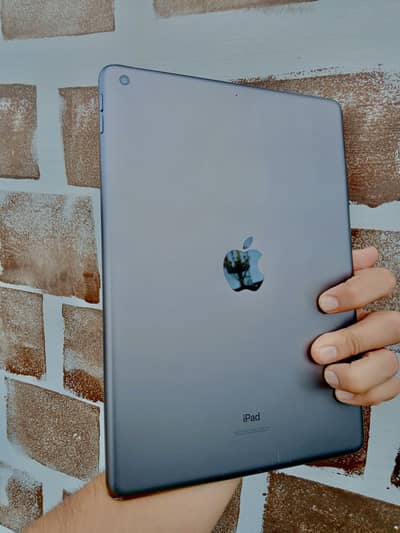 iPad 9th generation with box 256gb