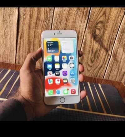 ‎I phone 6s pta approved  My Whatsapp number 0324845367****"eight hai*