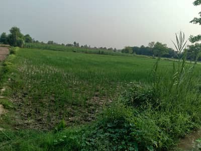 Farms house plot +resident plot+factory+university+restaurant