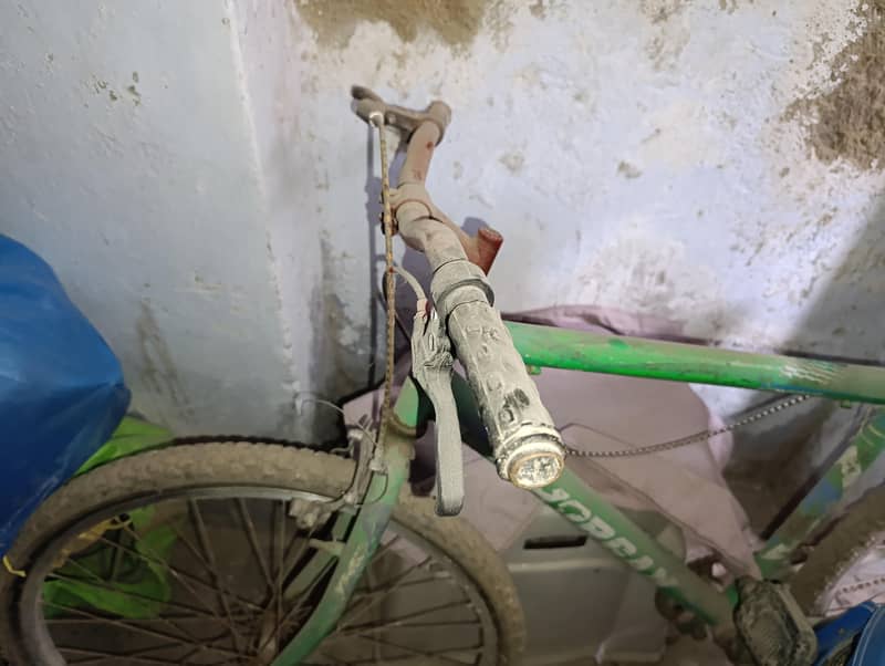 cycle 0