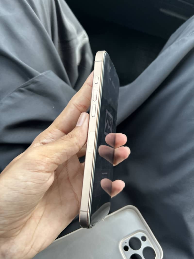 Apple iPhone 16 Pro Max 1
