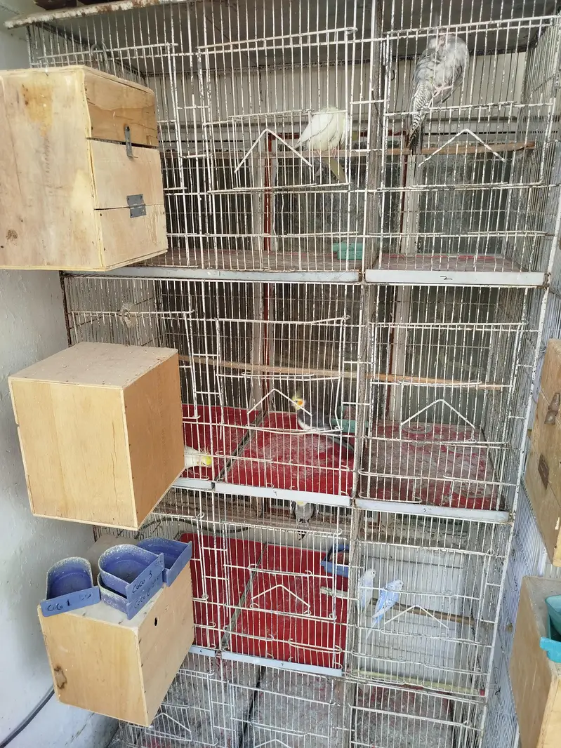Cage for sale 8 portion — photo 3