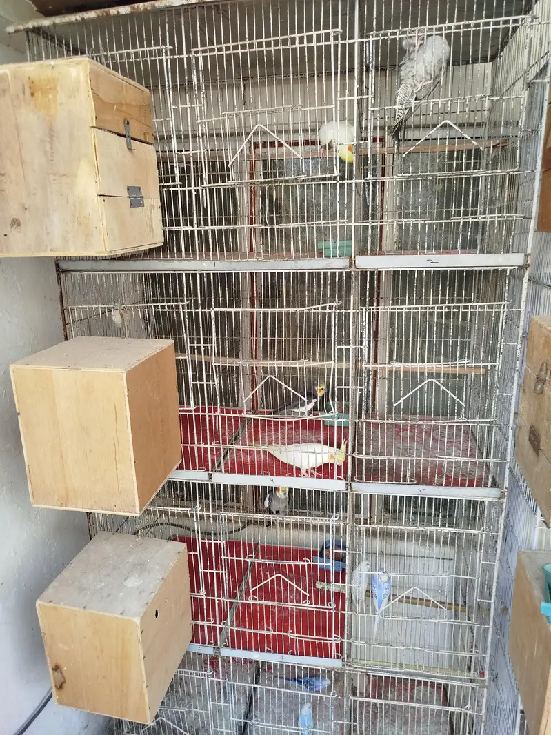 Cage for sale 8 portion — photo 4