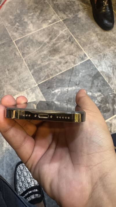 14 pro gold