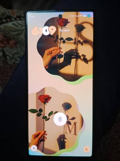 Google Pixel 6 PTA approved
