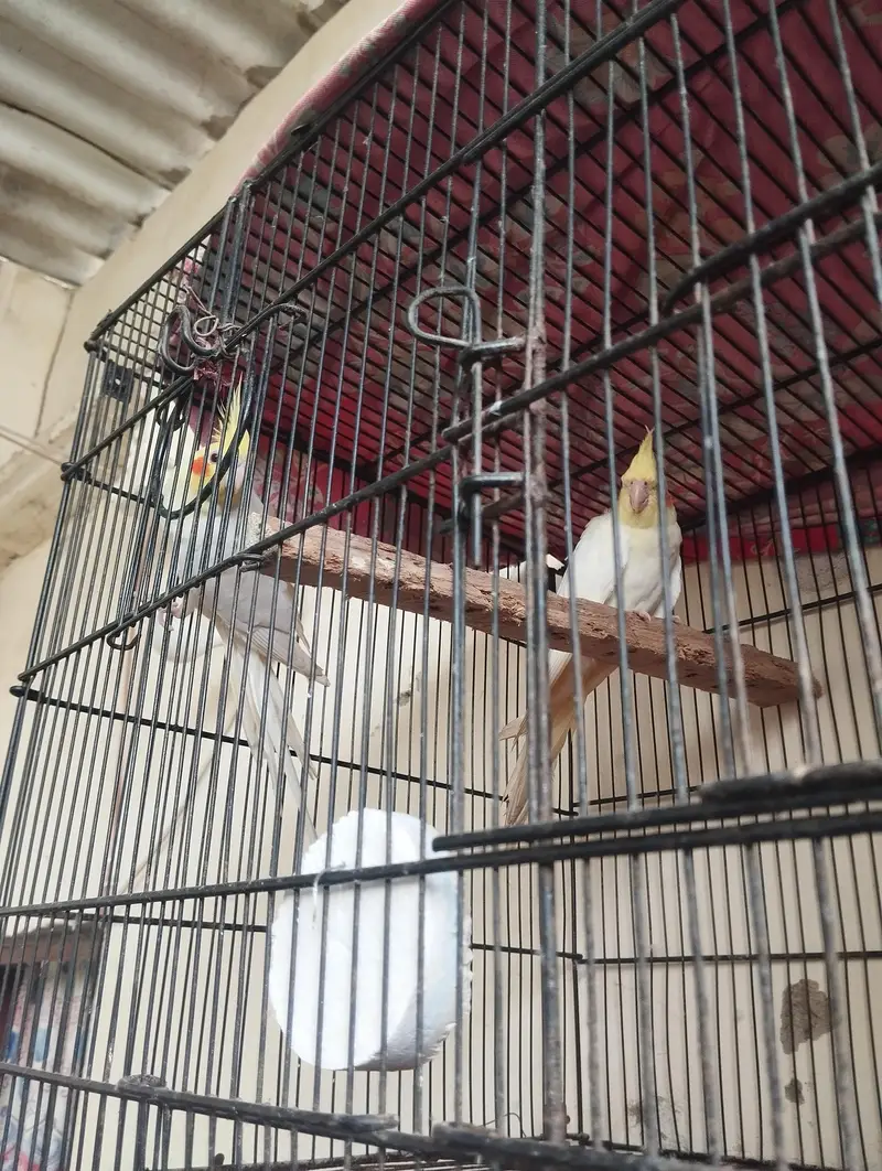 bonding PR hai — photo 4