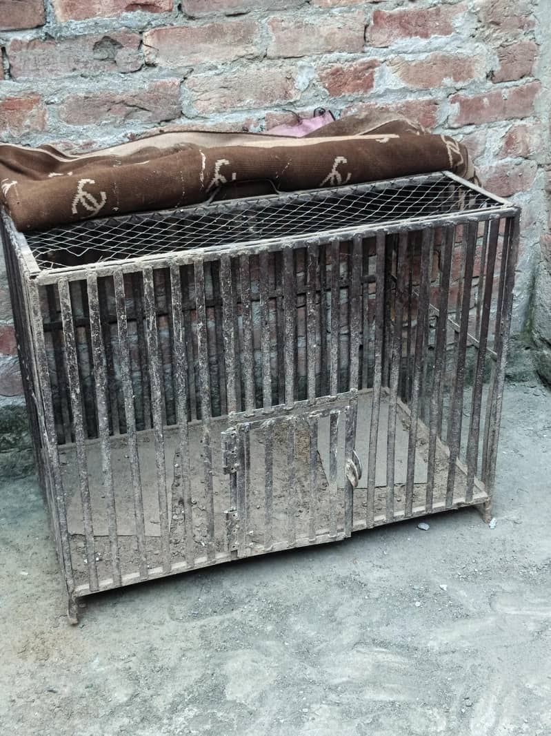 hen cage 0