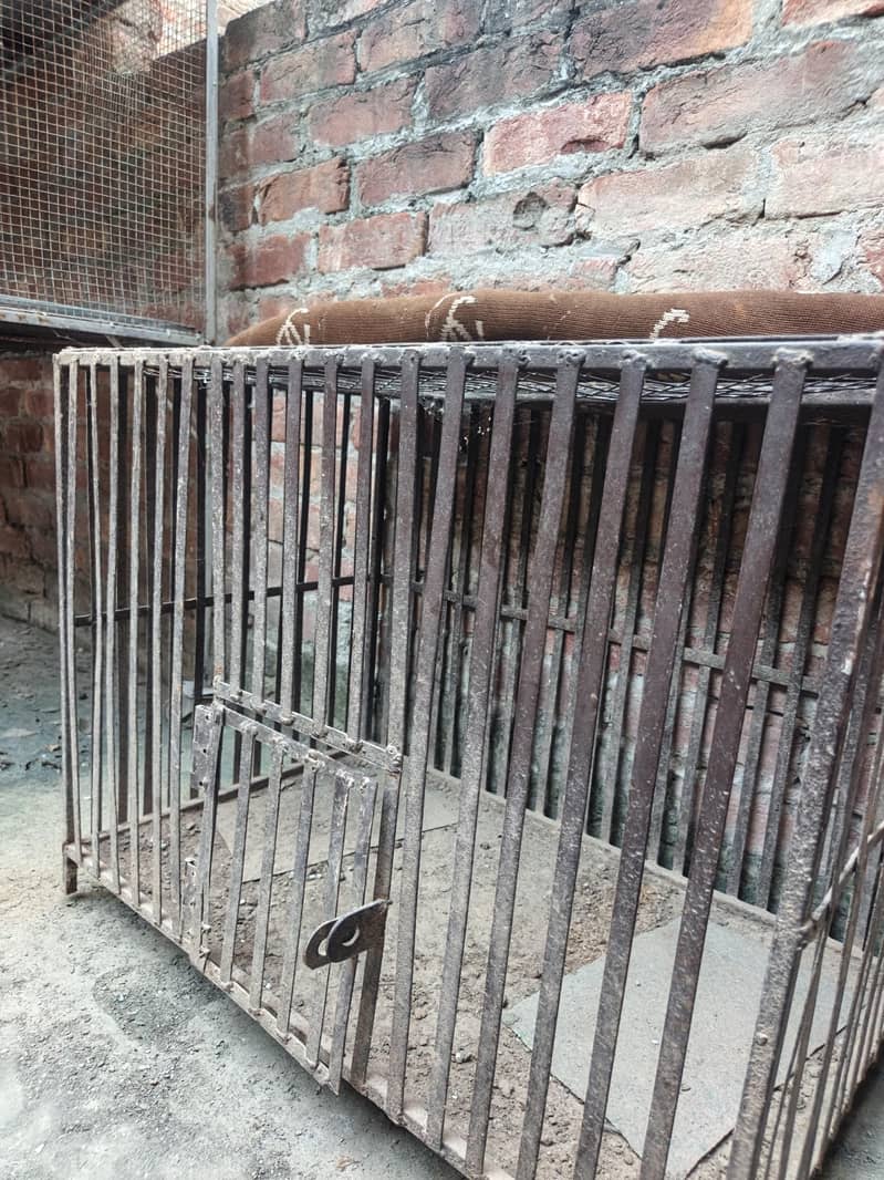 hen cage 1
