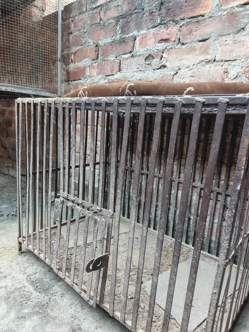 hen cage — photo 2