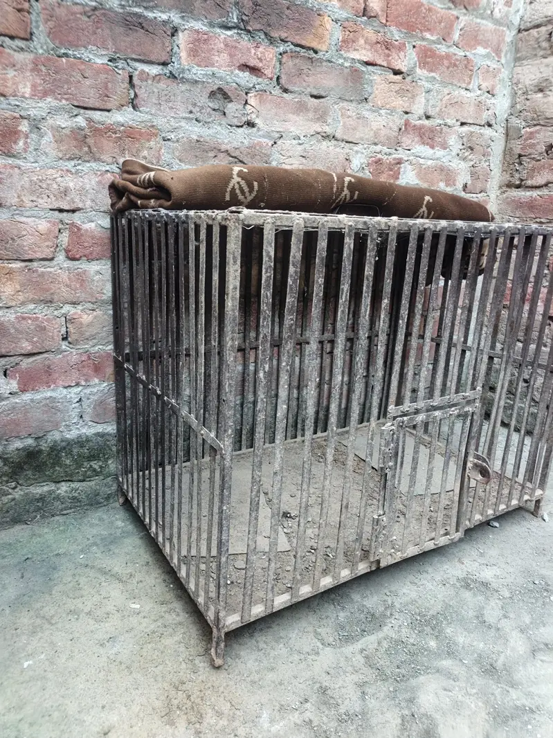 hen cage — photo 3