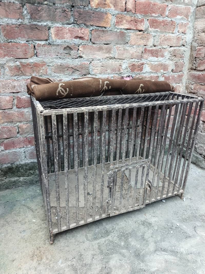 hen cage 3