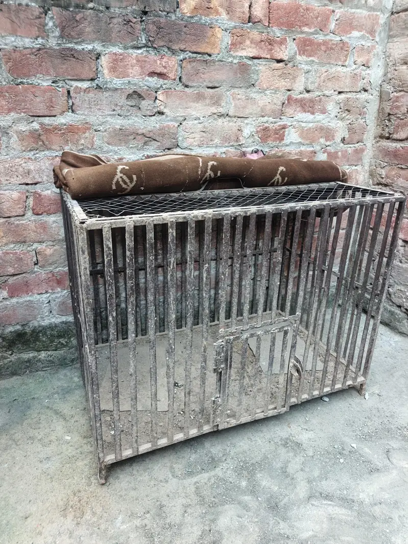 hen cage — photo 4