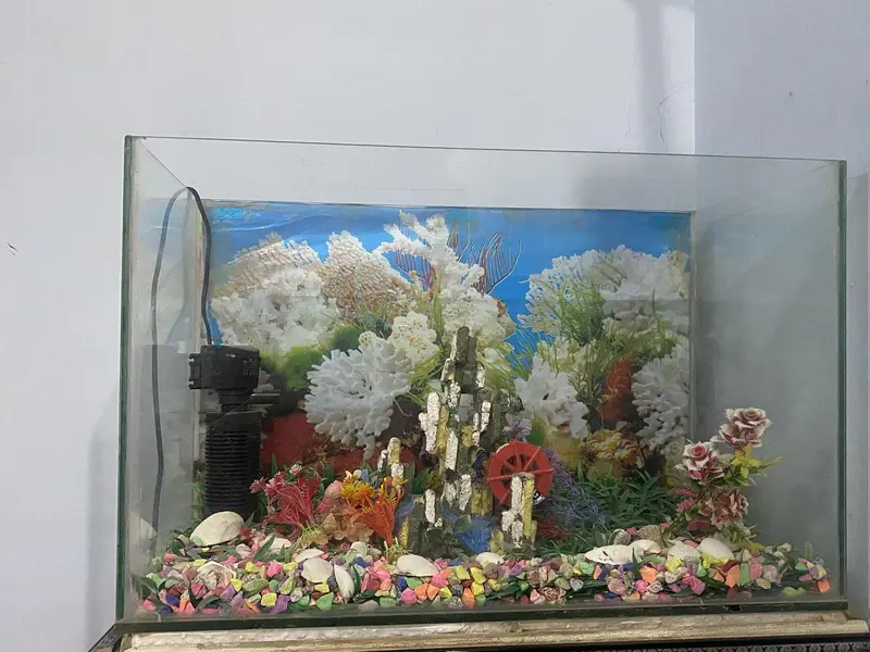 AQUARIUM — photo 3
