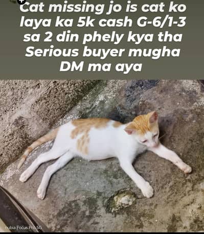 catt missing G-6/1-3 ma
