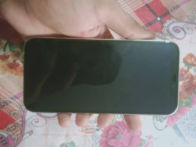 Apple iPhone 12 Pro 4