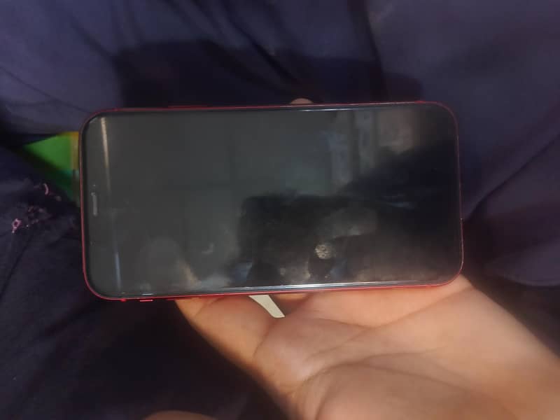Apple iPhone 11 3