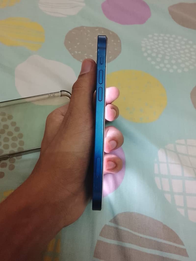 Apple iPhone 12 1