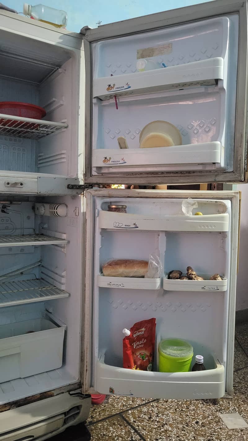 Fridge Medium size PELL 1