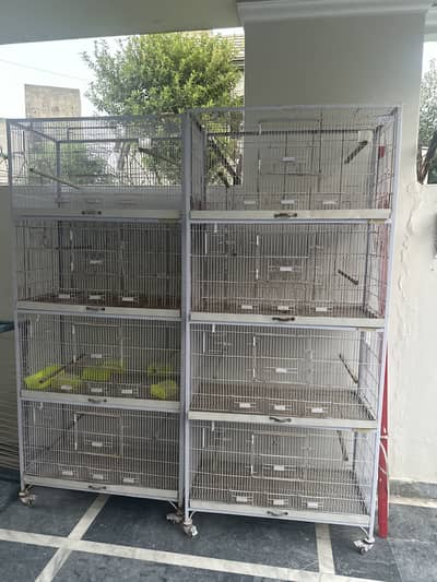 parrot cage
