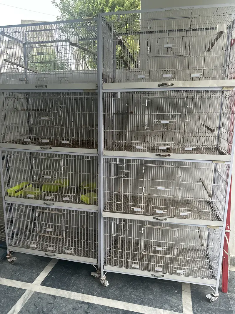 parrot cage — photo 2
