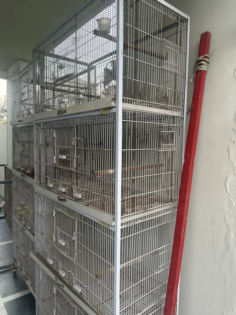 parrot cage — photo 3
