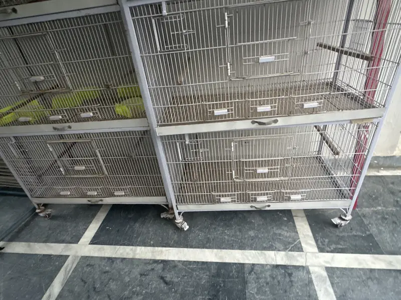 parrot cage — photo 4