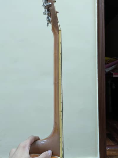 Professional Acoustic Guitar