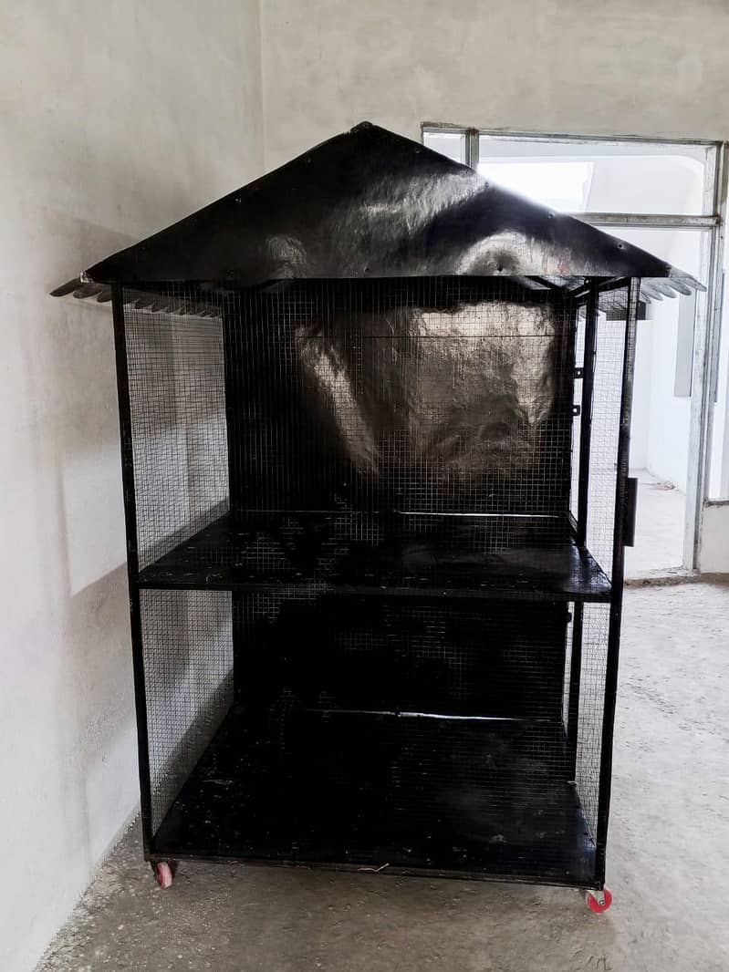 Bird Cage 0