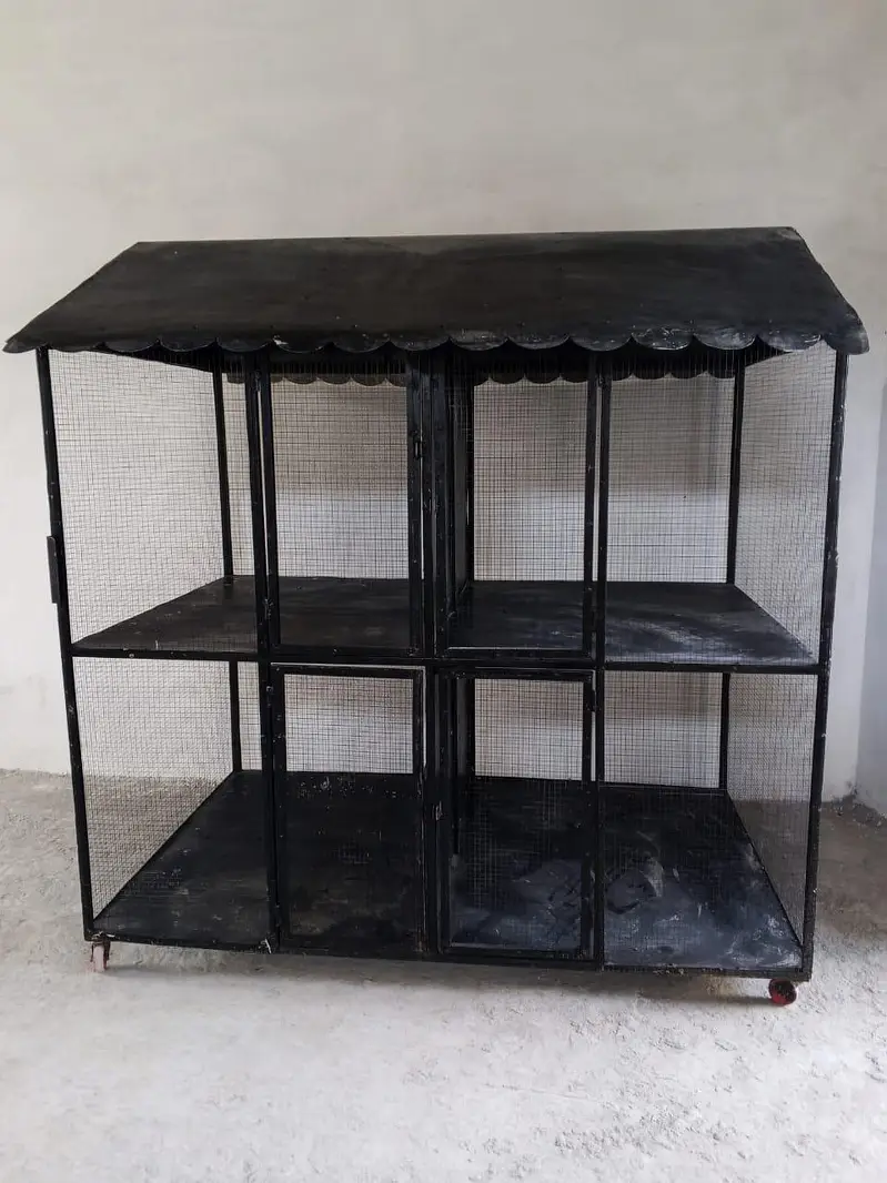 Bird Cage — photo 2