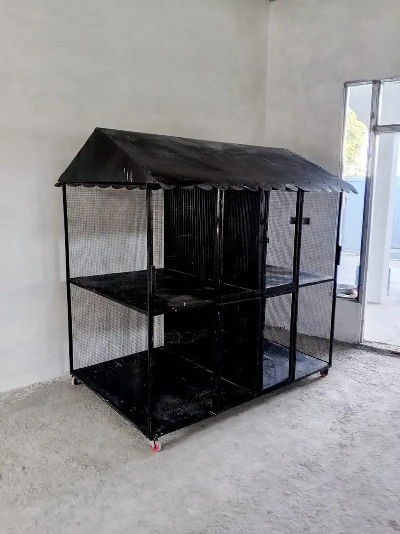 Bird Cage — photo 3
