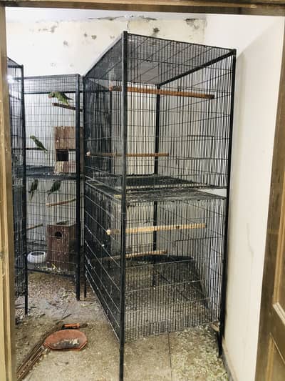 Cages for raw,ringneck,sunconure