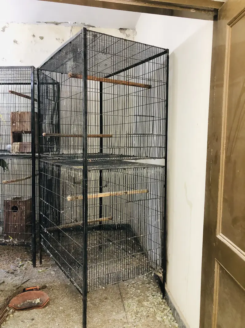 Cages for raw,ringneck,sunconure — photo 2