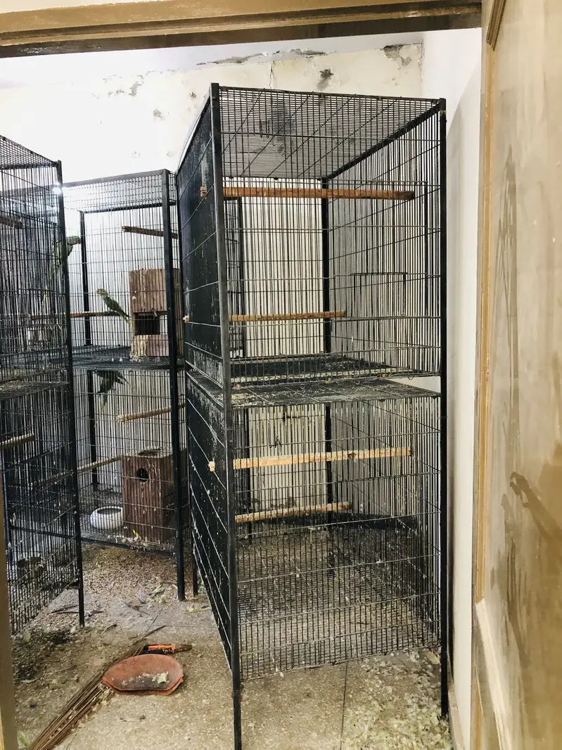Cages for raw,ringneck,sunconure — photo 3