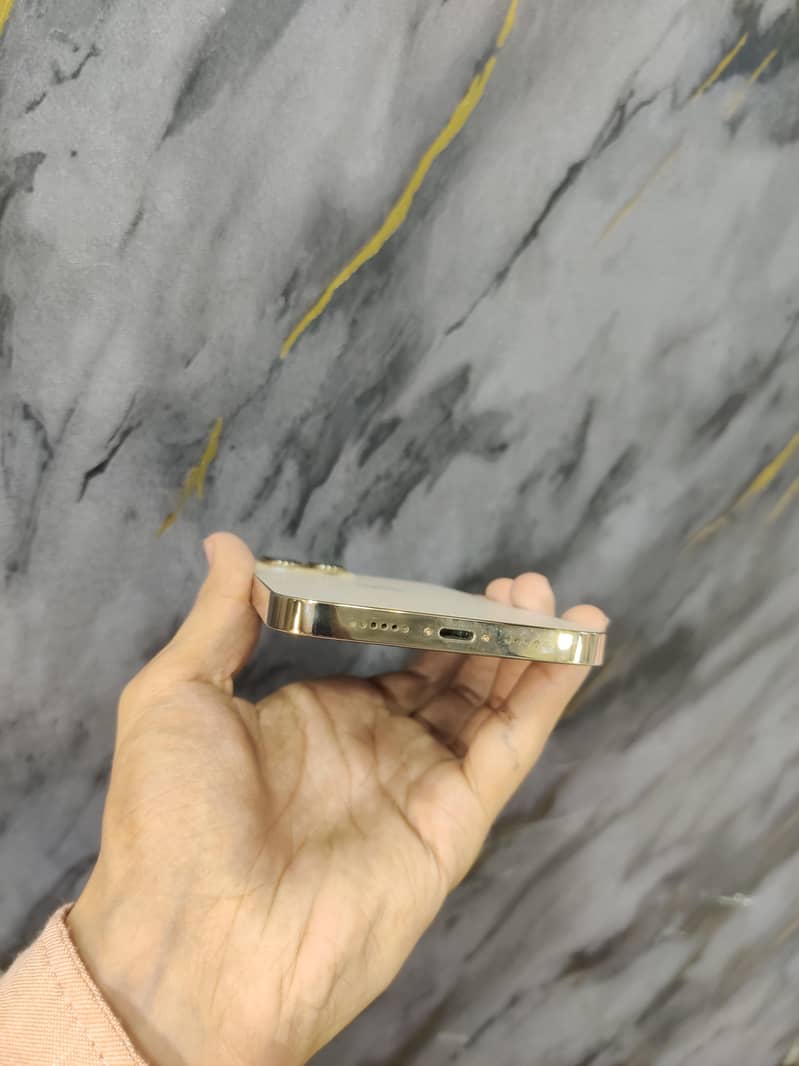 Apple iPhone 13 Pro Max 2