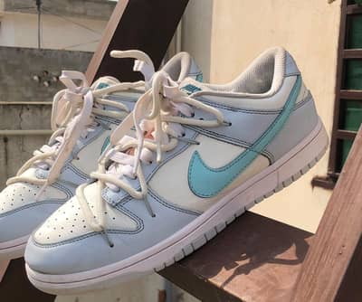 Nike Dunks