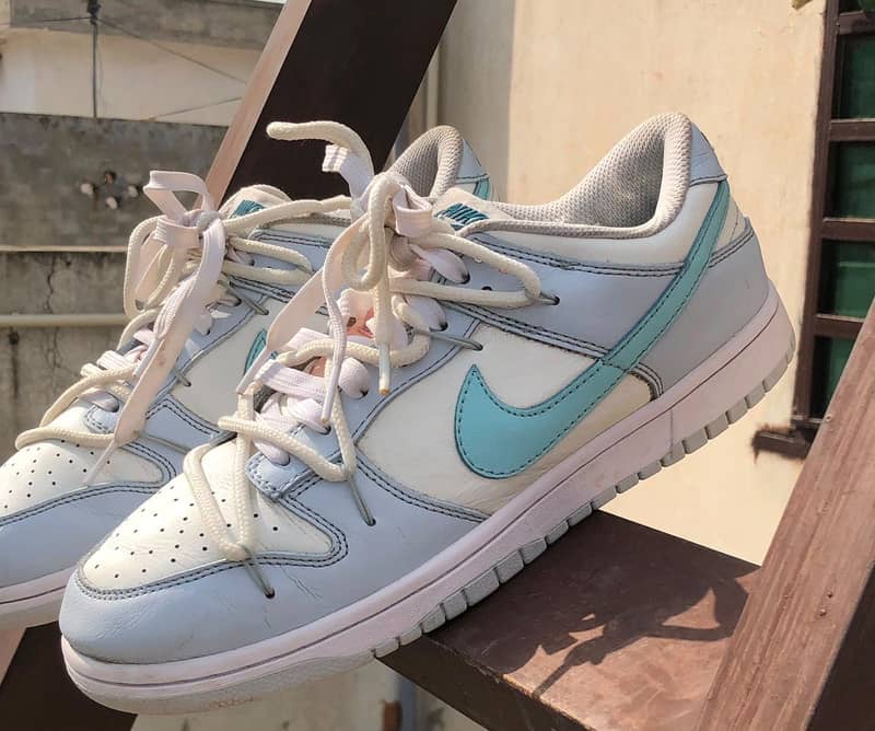 Nike Dunks 0