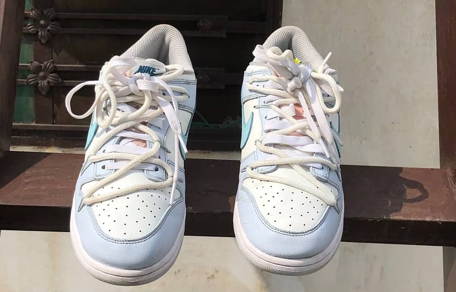 Nike Dunks 1
