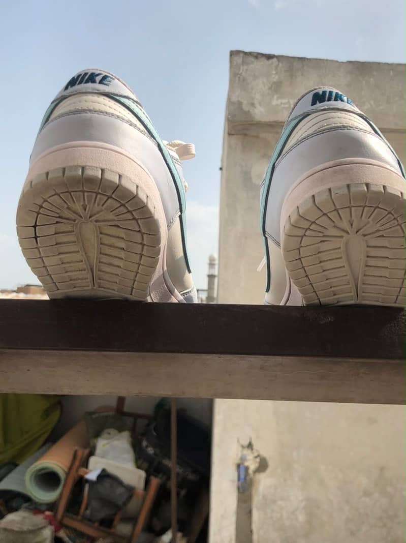 Nike Dunks 2