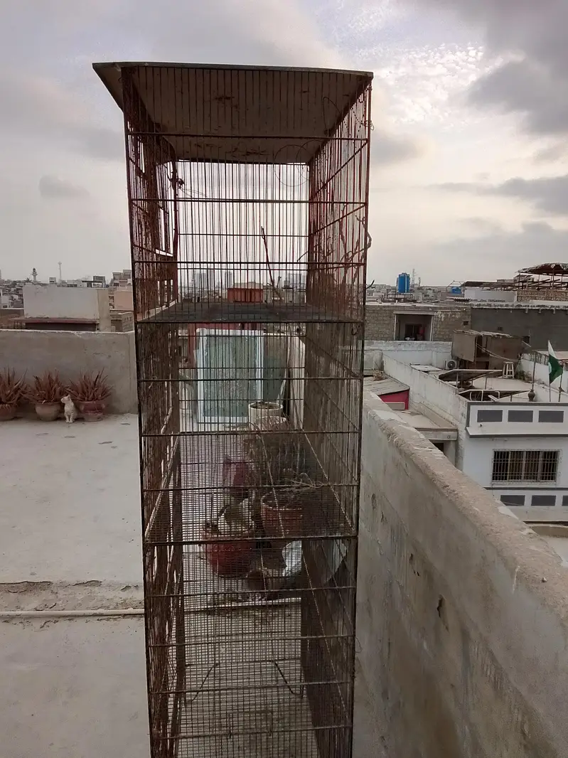 Bara Iron Bird Cage For Sale  — photo 2