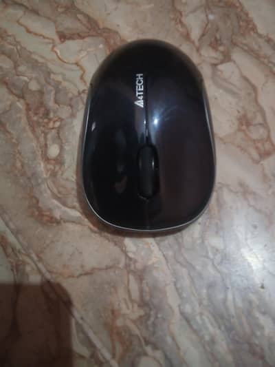 mouse