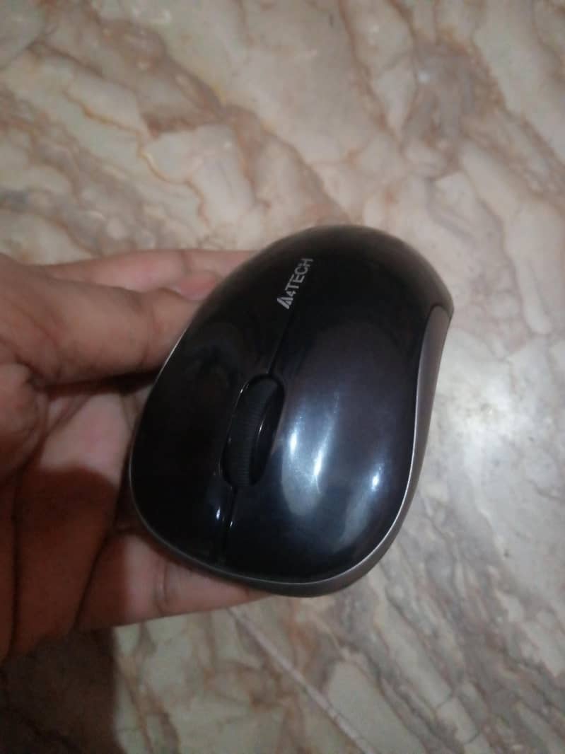 mouse 1