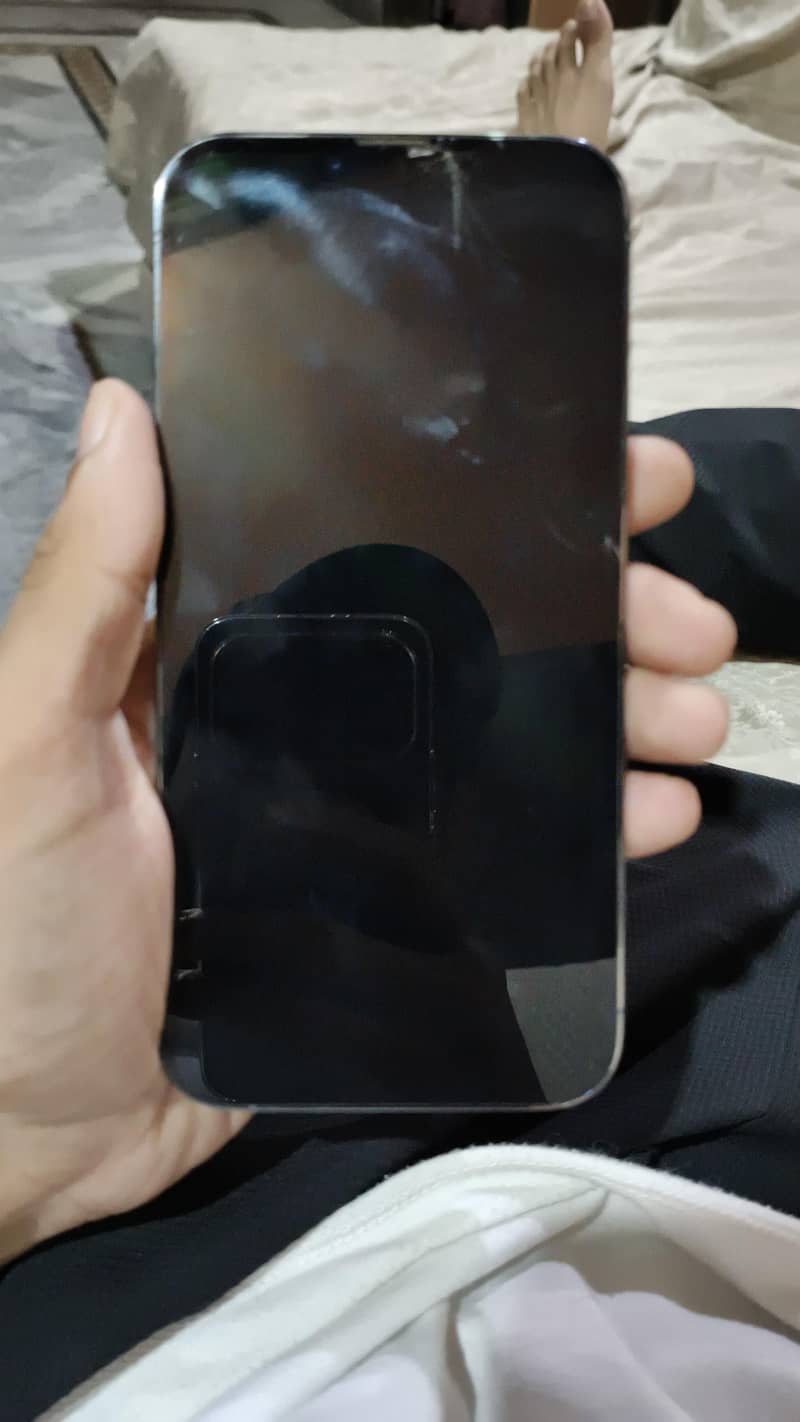 Iphone 13 pro max 3