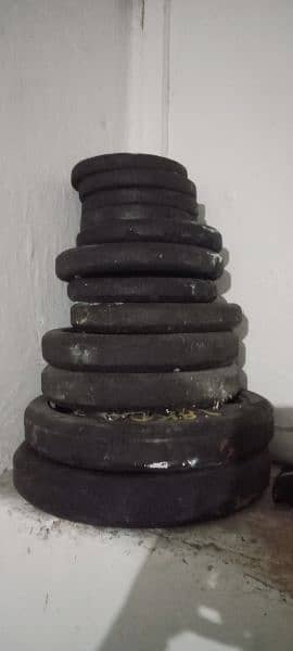 Gym bench and barbells and dumbbells