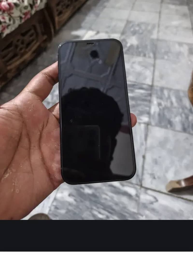 Apple iPhone 12 1