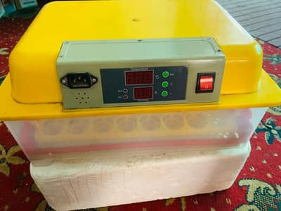 New digital incubator (48) eggs capacity only 1 month used /Digital