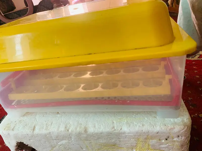 New digital incubator (48) eggs capacity only 1 month used /Digital — photo 2