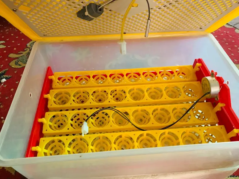 New digital incubator (48) eggs capacity only 1 month used /Digital — photo 6